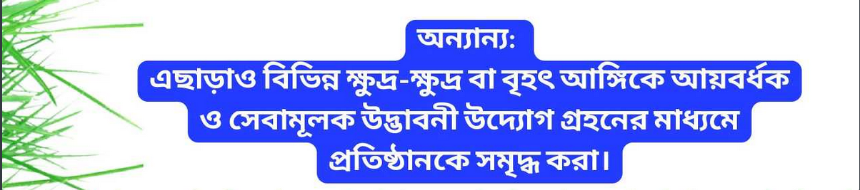 Matrimaya Investment